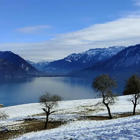 Panoramablick Auf See Und Berge *